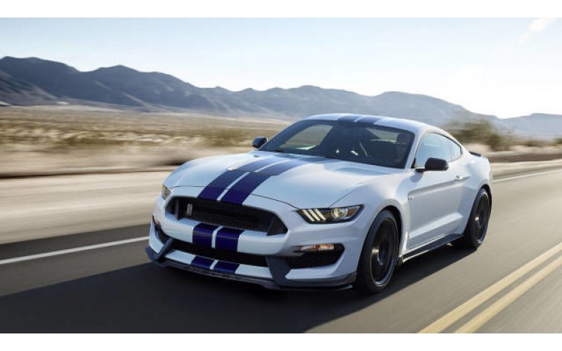 Mustang Mustang